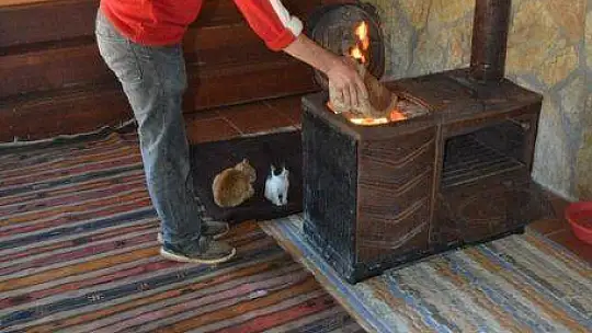 Can dostlara sobalı koruma