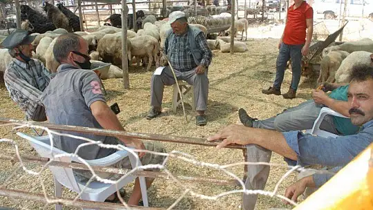 Pandemi Tedbirleri Altında Kurbanlık Satışları Başladı