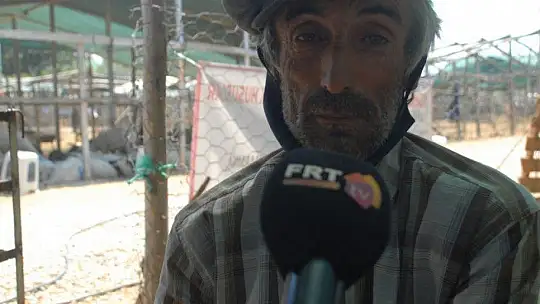 Pandemi Tedbirleri Altında Kurbanlık Satışları Başladı