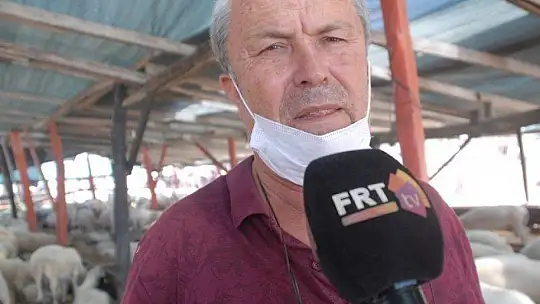 Pandemi Tedbirleri Altında Kurbanlık Satışları Başladı