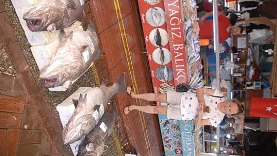 DEV ÇİÇÖZ BALIKLARI YÜZLERİ GÜLDÜRDÜ