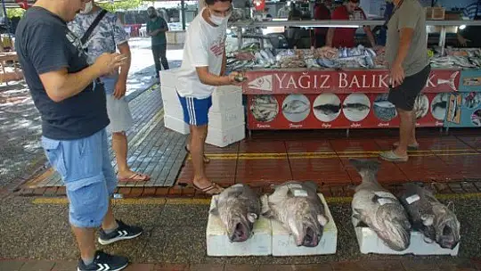 DEV ÇİÇÖZ BALIKLARI YÜZLERİ GÜLDÜRDÜ