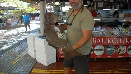 DEV ÇİÇÖZ BALIKLARI YÜZLERİ GÜLDÜRDÜ