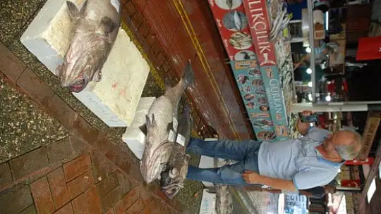 DEV ÇİÇÖZ BALIKLARI YÜZLERİ GÜLDÜRDÜ