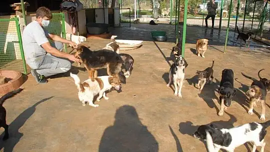 Fethiye Geçici Hayvan Bakım Merkezi'nin çehresi değişiyor