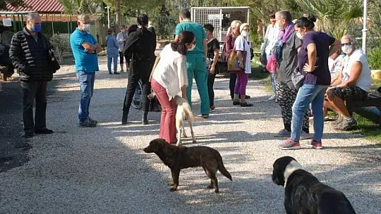 Fethiye Geçici Hayvan Bakım Merkezi'nin çehresi değişiyor