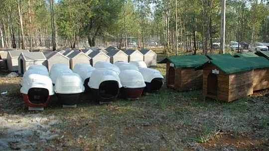 Fethiye Geçici Hayvan Bakım Merkezi'nin çehresi değişiyor