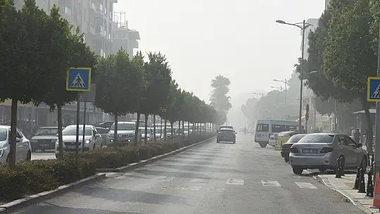 Dumanlar Ortaca'yı kapladı