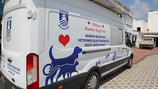 Belediye, Sokak Hayvanları İçin Çalışmaya Devam Ediyor