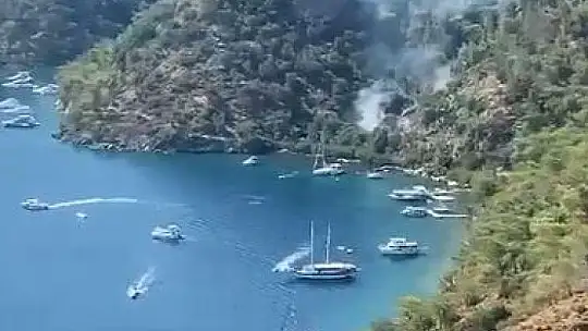 BEDRİ RAHMİ KOYUNDA YANGIN ÇIKTI