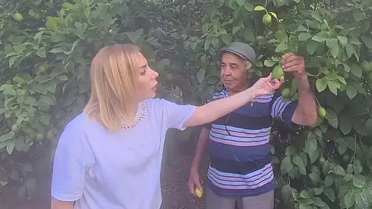 MİLLETVEKİLİ GÖKCAN, 75 YAŞINDAKİ LİMON ÜRETİCİSİ ZİYA AMCA'YI ZİYARET ETTİ