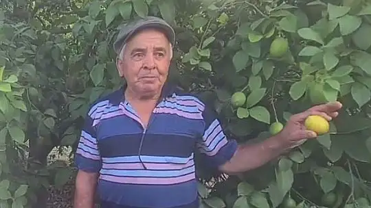 MİLLETVEKİLİ GÖKCAN, 75 YAŞINDAKİ LİMON ÜRETİCİSİ ZİYA AMCA'YI ZİYARET ETTİ