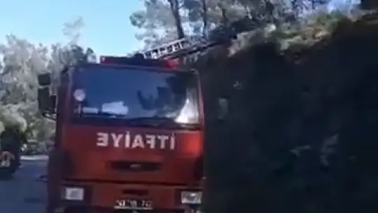 Koca Çalış'taki yangın korkuttu