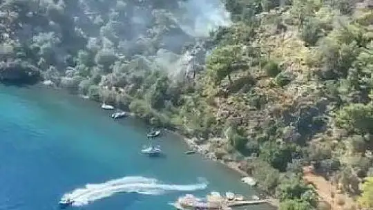 BEDRİ RAHMİ KOYUNDA YANGIN ÇIKTI