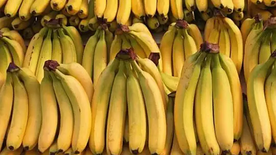 BAŞKAN KARAYİĞİT, TROPİKAL MEYVELER HAKKINDA KONUŞTU