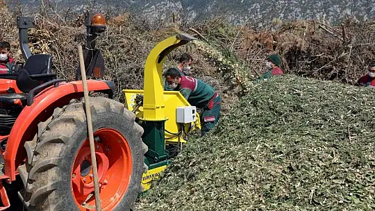Çevresel atıklar gübreye dönüştürülüyor
