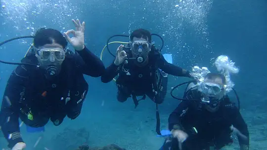 Denizaltında Muhteşem Sergi