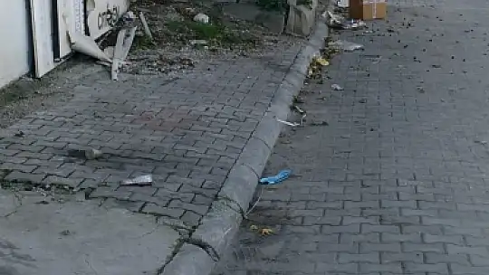 30 Hektarlık Alanda Büyük Temizlik