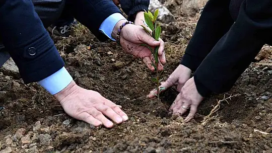 Fidan dikimi etkinliğine yoğun ilgi