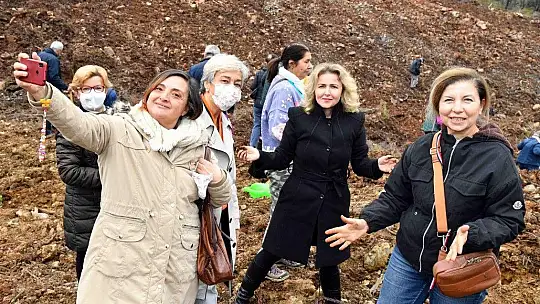 Fidan dikimi etkinliğine yoğun ilgi