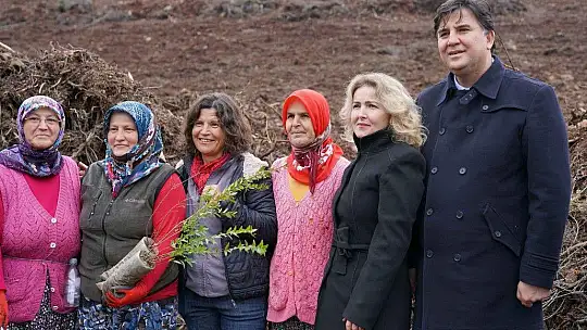 Fidan dikimi etkinliğine yoğun ilgi