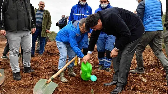 Fidan dikimi etkinliğine yoğun ilgi