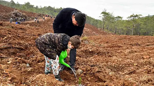 Fidan dikimi etkinliğine yoğun ilgi