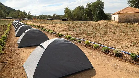 Gençlik Tarım Kampı'na Sertab Erener'den Destek