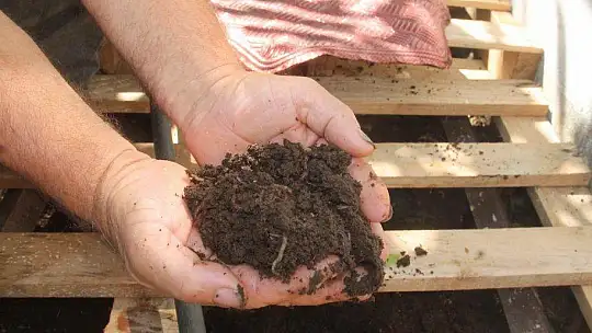 SOLUCAN GÜBRESİ İLE ORGANİK TARIM