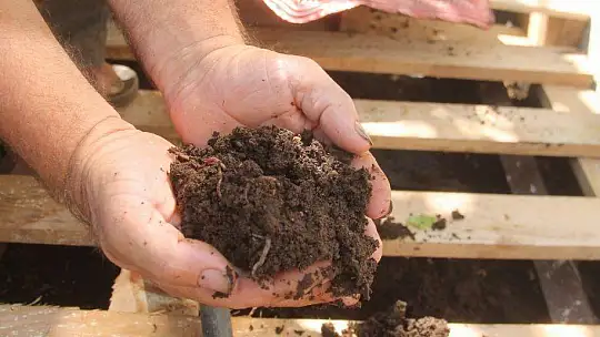 SOLUCAN GÜBRESİ İLE ORGANİK TARIM