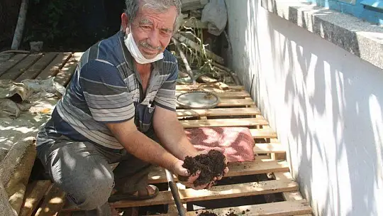 SOLUCAN GÜBRESİ İLE ORGANİK TARIM