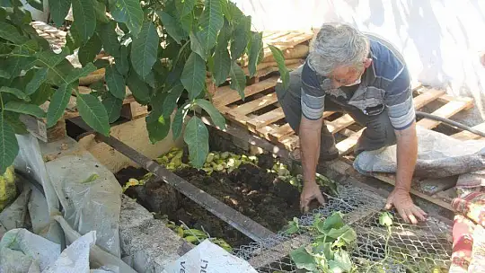 SOLUCAN GÜBRESİ İLE ORGANİK TARIM