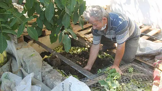 SOLUCAN GÜBRESİ İLE ORGANİK TARIM