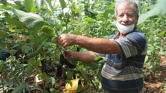 SOLUCAN GÜBRESİ İLE ORGANİK TARIM