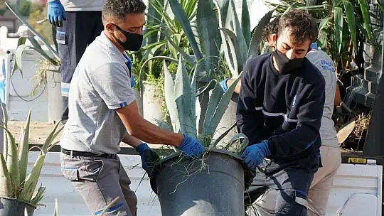 'Halikarnas Balıkçısı Seyir Terası' açıldı