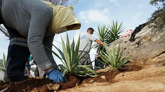 'Halikarnas Balıkçısı Seyir Terası' açıldı