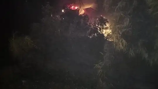 Fethiye'de orman yangını