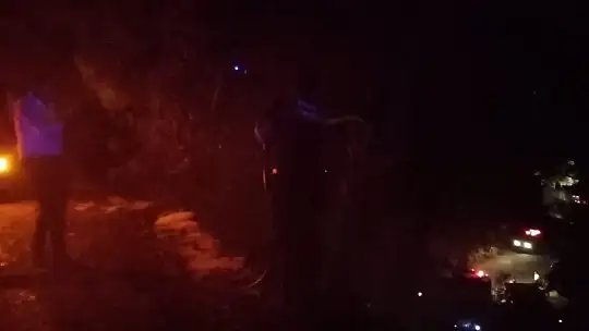 Fethiye'de orman yangını
