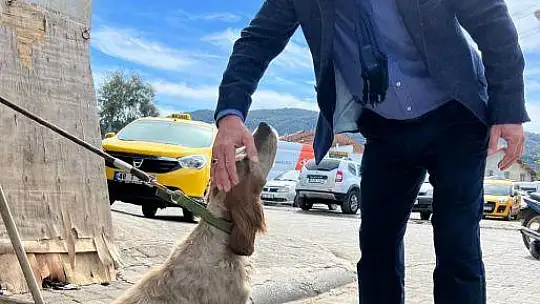 BEHÇET SAATCI SANAYİ ESNAFIYLA BİR ARAYA GELDİ