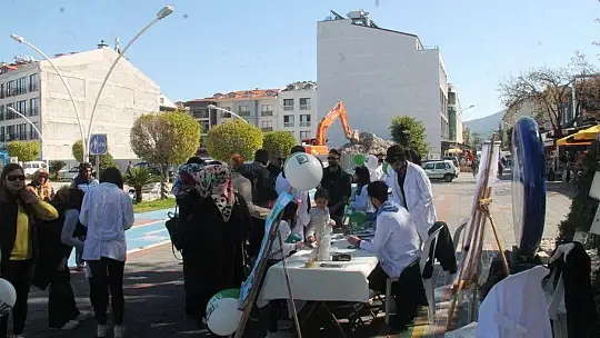 Yeşilay'ı anlattılar