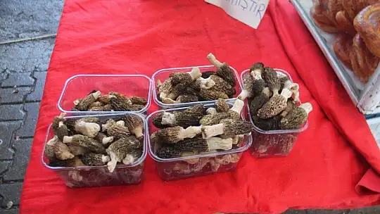 Uzun Zamandır Bekleniyordu