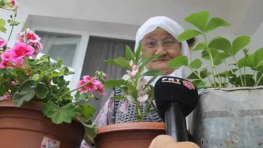 ALTINDAN YOL GEÇEN TEK CAMİ