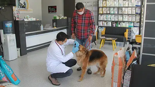 Veterinerler de tedbirlerini aldı 