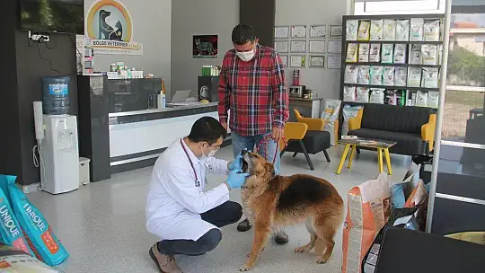 Veterinerler de tedbirlerini aldı 