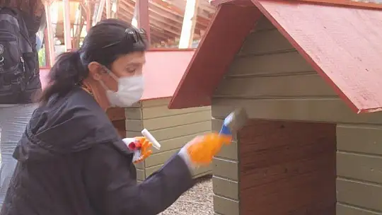 Sokak hayvanları için 30 kulübe daha...