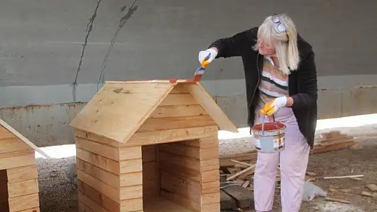 Sokak hayvanları için 30 kulübe daha...