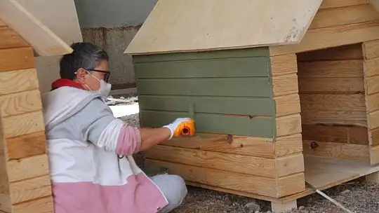 Sokak hayvanları için 30 kulübe daha...