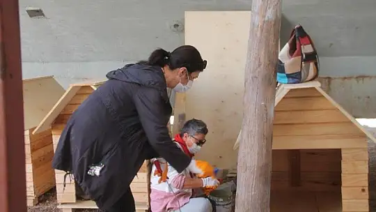 Sokak hayvanları için 30 kulübe daha...