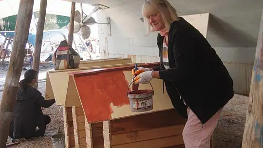 Sokak hayvanları için 30 kulübe daha...