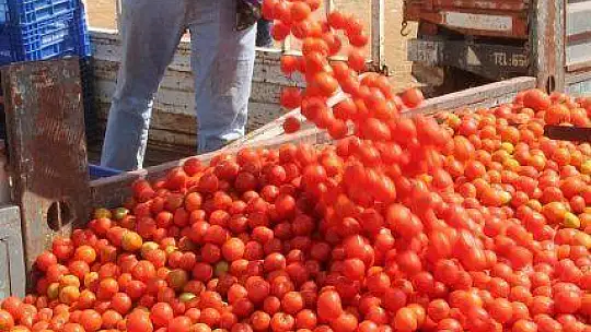 Karayiğit, ''Çiftçimiz Üretmek Zorunda''